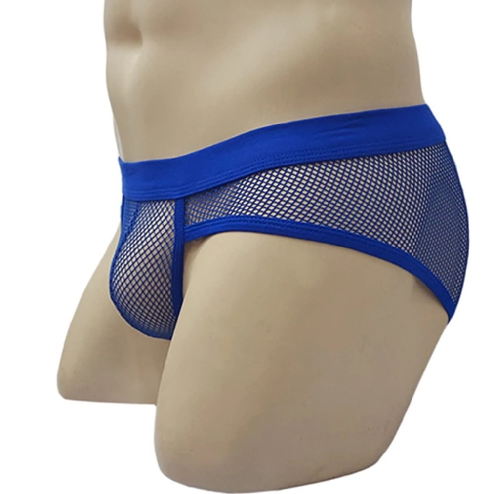 Blue Mesh Brief
